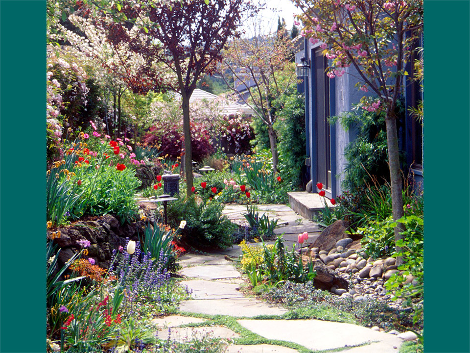 SF Bay Area Achievement Award Medium Renovation - Musser Residence