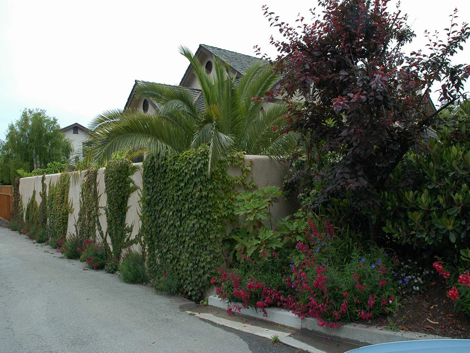SF Bay Area First Place Xeriscape - Fernelius Residence