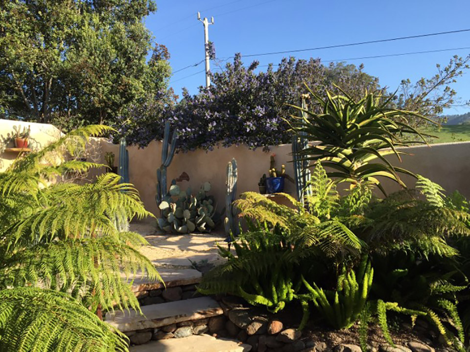 SF Bay Area First Place Xeriscape - Fernelius Residence