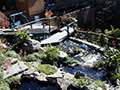 SF Bay Area Achievement Award Water Feature - Blomquist Residence