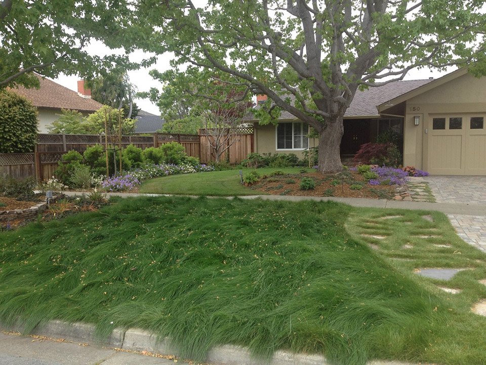 SF Bay Area Achievement Award Small Renovation - Bartaldo Residence